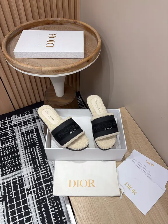 Dior Shoe 